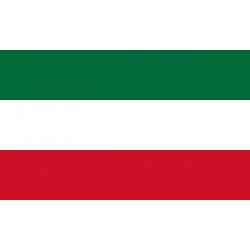 drapeau_des_patriotes_ii